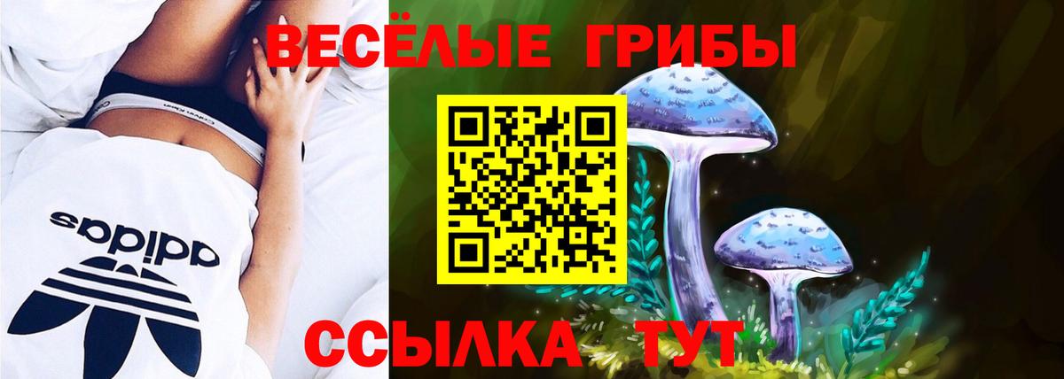 Галлюциногенные грибы мухоморы  Вход с VPN  Тавда  Галлюциногенные грибы MAGIC MUSHROOMS 